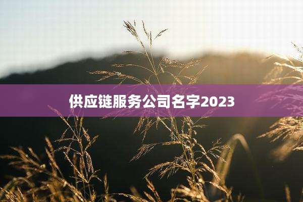 供应链服务公司名字2023