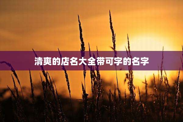 清爽的店名大全带可字的名字