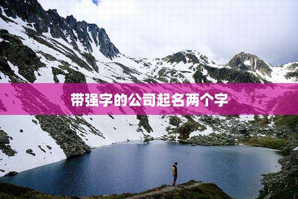 带强字的公司起名两个字