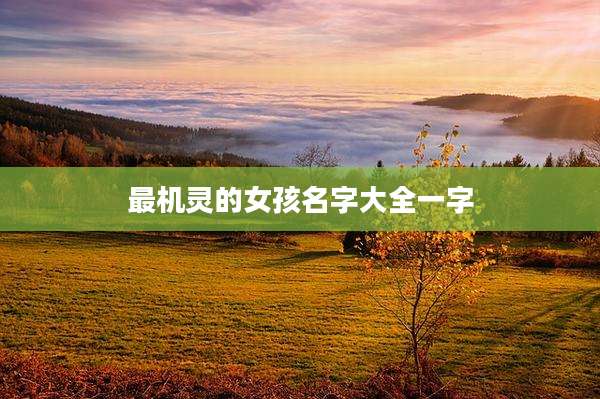 最机灵的女孩名字大全一字