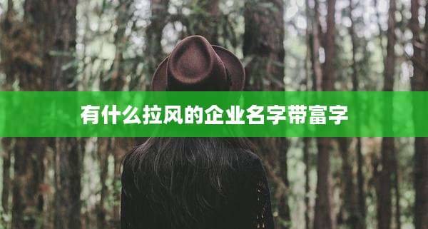 有什么拉风的企业名字带富字