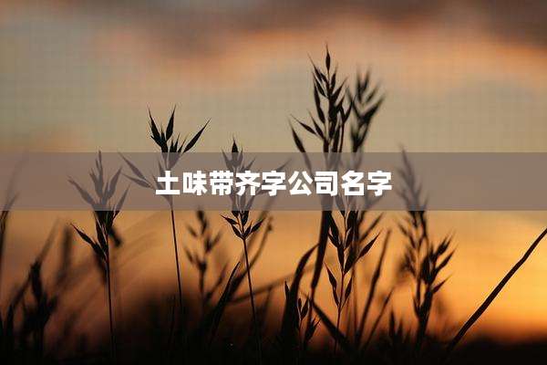 土味带齐字公司名字