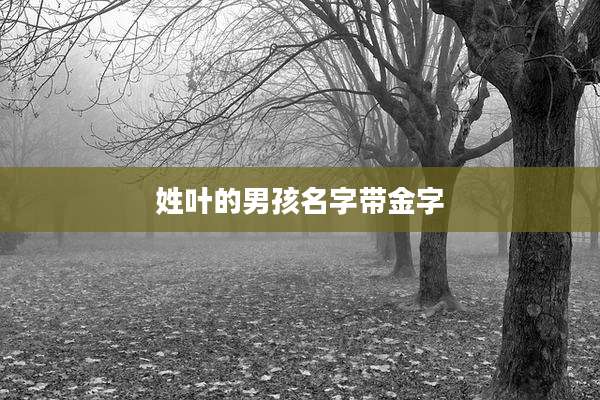 姓叶的男孩名字带金字