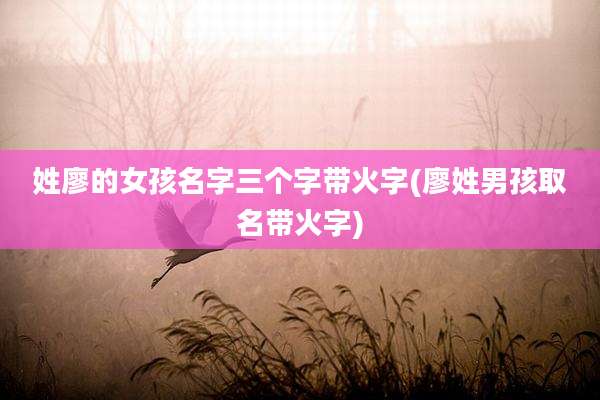 姓廖的女孩名字三个字带火字(廖姓男孩取名带火字)
