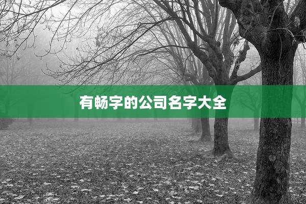 有畅字的公司名字大全