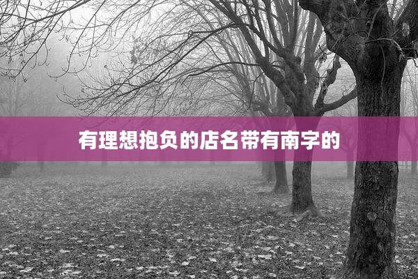 有理想抱负的店名带有南字的