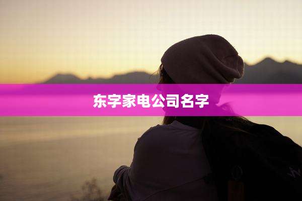 东字家电公司名字