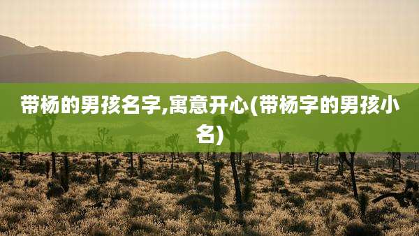 带杨的男孩名字,寓意开心(带杨字的男孩小名)