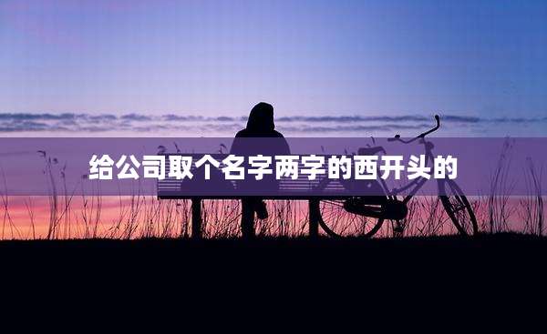 给公司取个名字两字的西开头的
