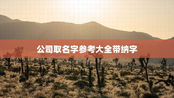 公司取名字参考大全带纳字