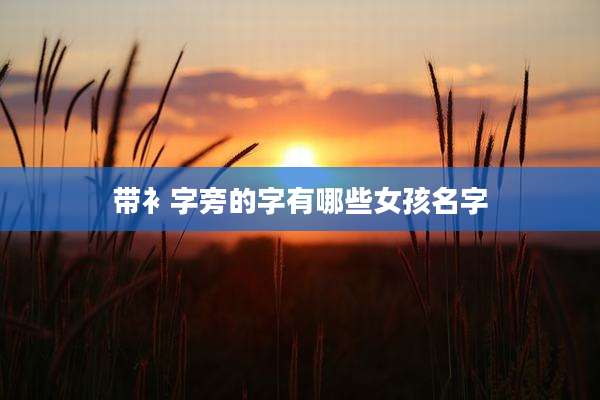 带衤字旁的字有哪些女孩名字