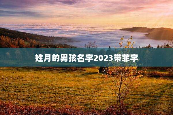 姓月的男孩名字2023带菲字