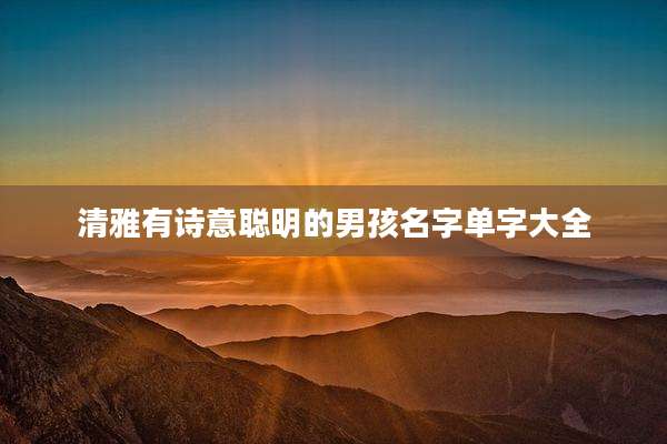 清雅有诗意聪明的男孩名字单字大全