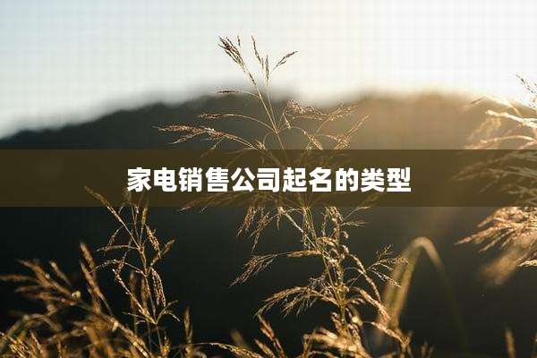 家电销售公司起名的类型