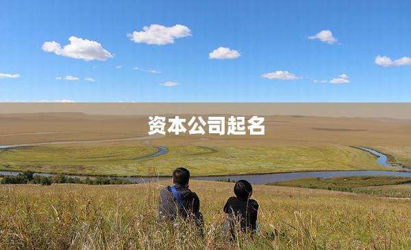 资本公司起名