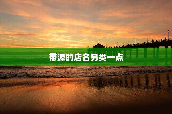 带源的店名另类一点