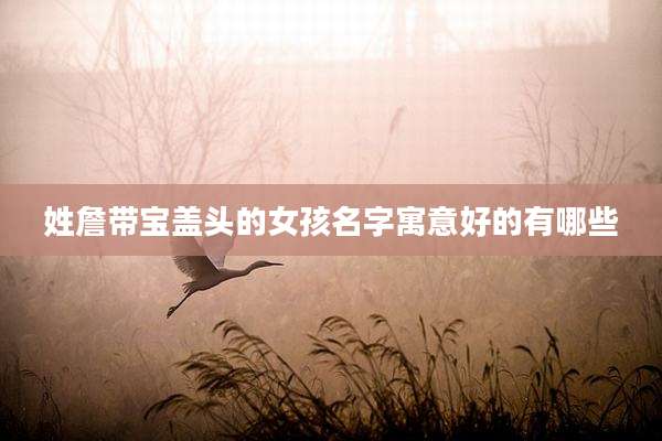 姓詹带宝盖头的女孩名字寓意好的有哪些