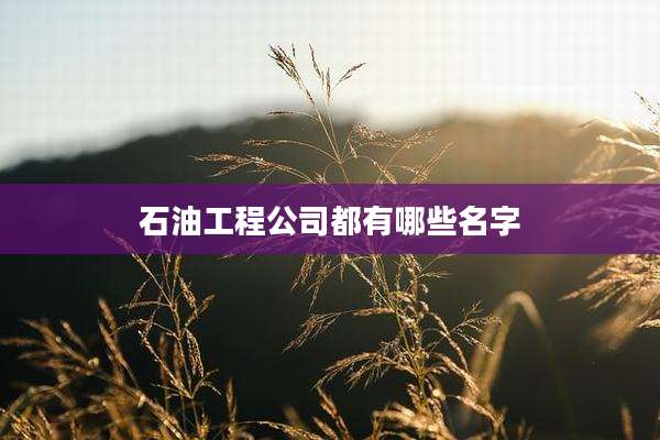 石油工程公司都有哪些名字