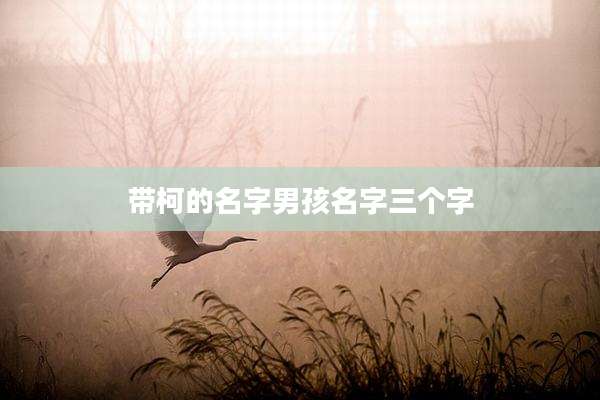 带柯的名字男孩名字三个字