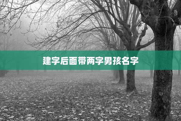 建字后面带两字男孩名字