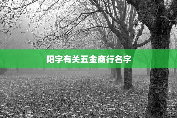 阳字有关五金商行名字