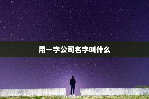 用一字公司名字叫什么