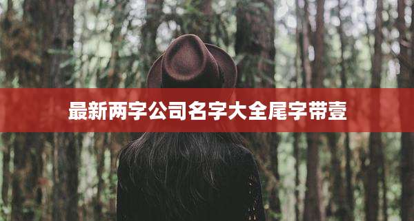 最新两字公司名字大全尾字带壹