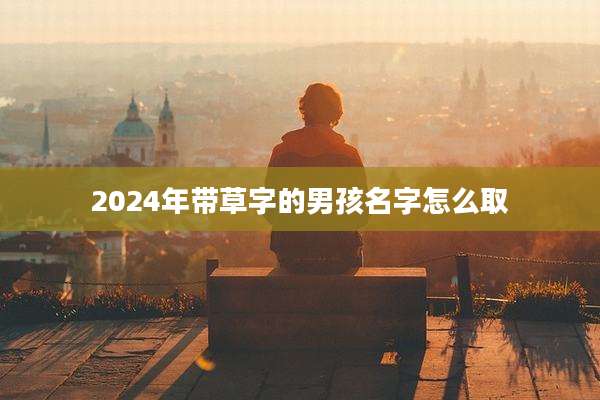 2024年带草字的男孩名字怎么取