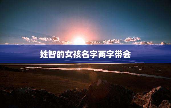 姓智的女孩名字两字带会