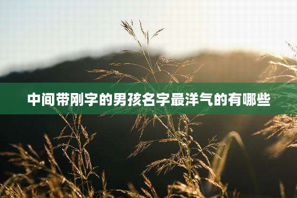 中间带刚字的男孩名字最洋气的有哪些
