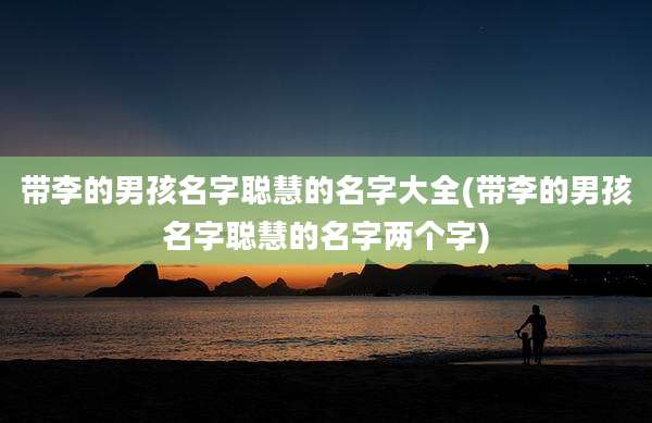 带李的男孩名字聪慧的名字大全(带李的男孩名字聪慧的名字两个字)