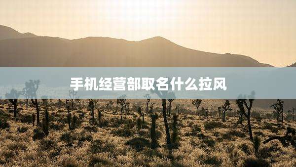 手机经营部取名什么拉风