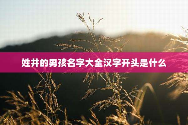 姓井的男孩名字大全汉字开头是什么