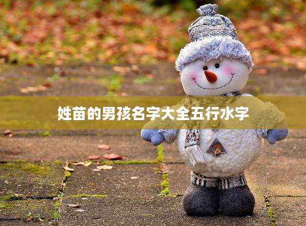 姓苗的男孩名字大全五行水字
