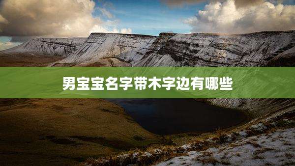 男宝宝名字带木字边有哪些