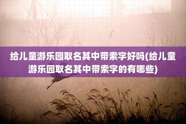 给儿童游乐园取名其中带索字好吗(给儿童游乐园取名其中带索字的有哪些)
