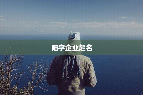 阳字企业起名