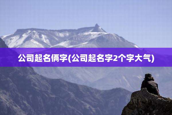 公司起名俩字(公司起名字2个字大气)