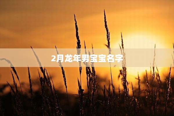 2月龙年男宝宝名字