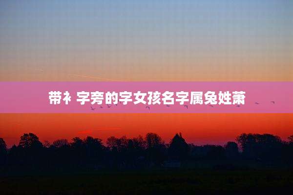 带衤字旁的字女孩名字属兔姓萧