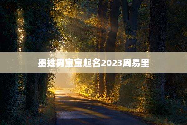 墨姓男宝宝起名2023周易里