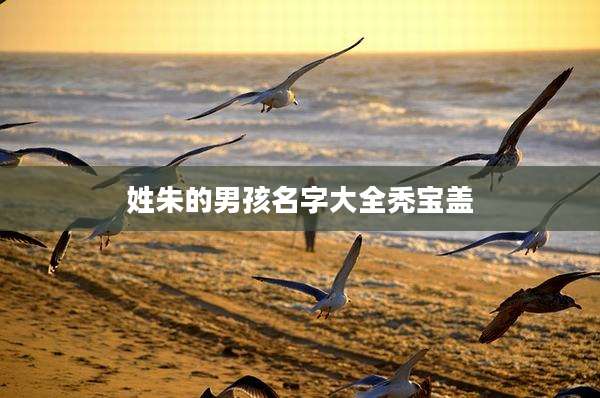 姓朱的男孩名字大全秃宝盖