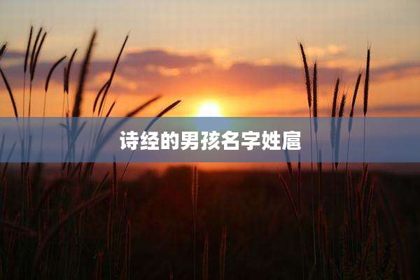 诗经的男孩名字姓扈