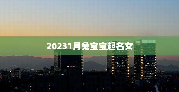 20231月兔宝宝起名女