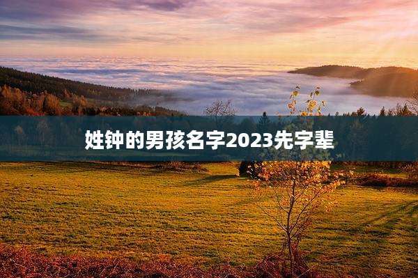 姓钟的男孩名字2023先字辈