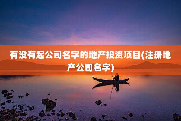 有没有起公司名字的地产投资项目(注册地产公司名字)
