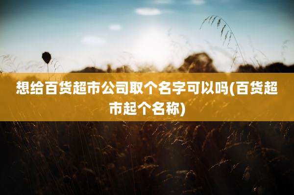 想给百货超市公司取个名字可以吗(百货超市起个名称)
