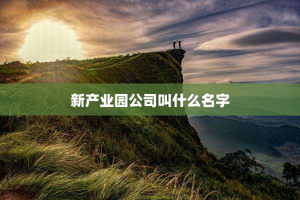 新产业园公司叫什么名字