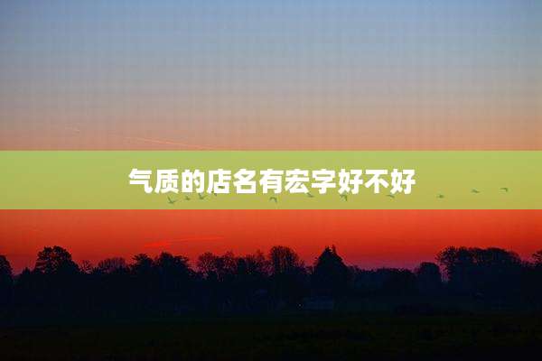 气质的店名有宏字好不好