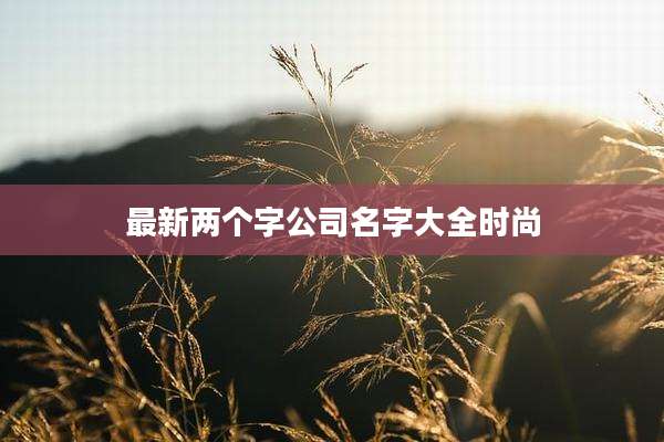 最新两个字公司名字大全时尚
